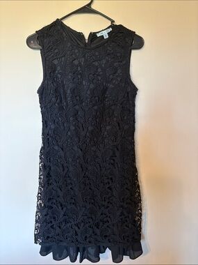 She + Sky Black Sleeveless Lace Overlay Mini Dress